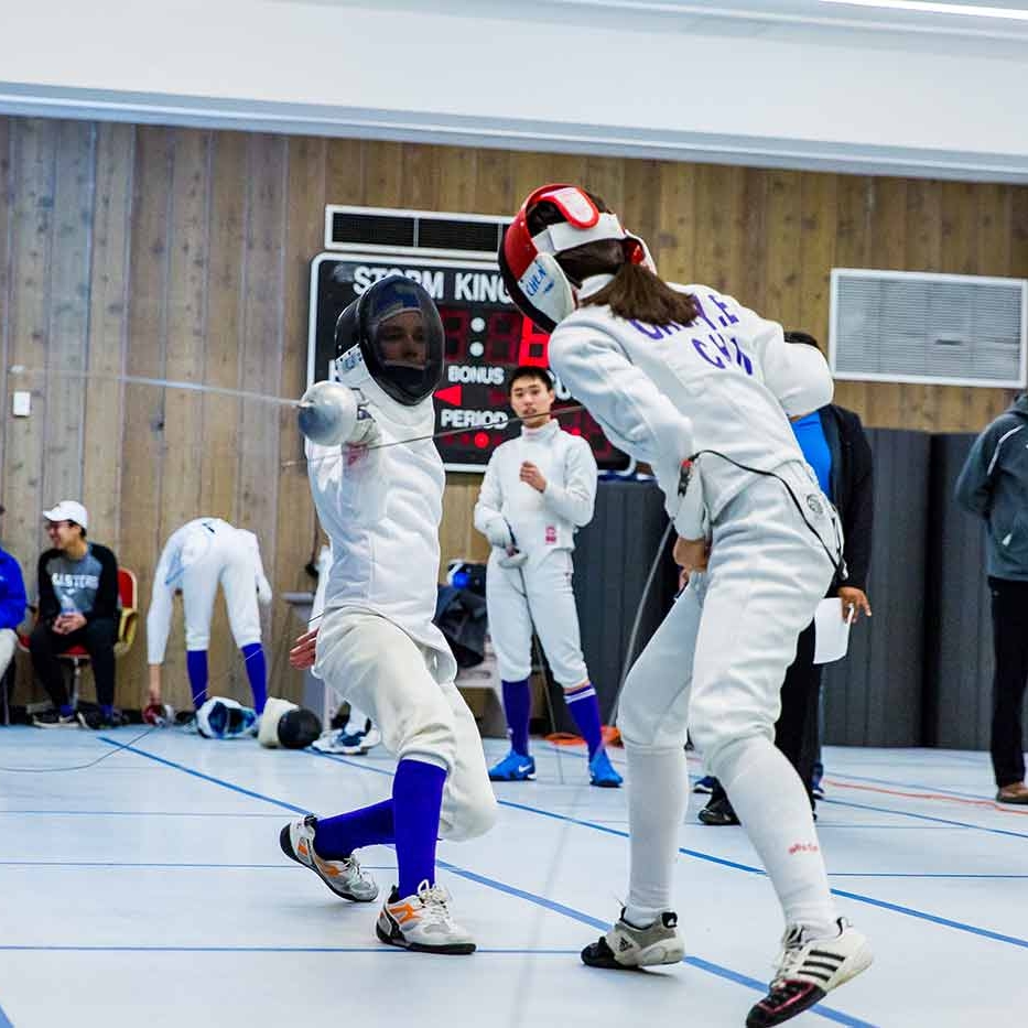 Fencing-3
